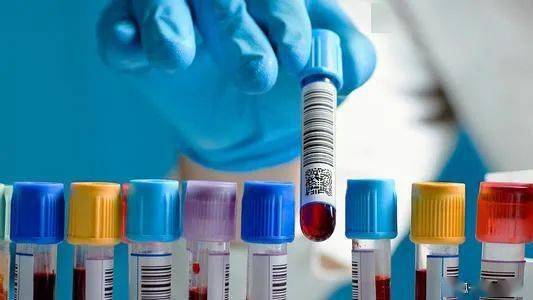 經緯中國參投這家寵物醫療機構 腫瘤篩查服務商完成近億元b輪融資 投資速遞