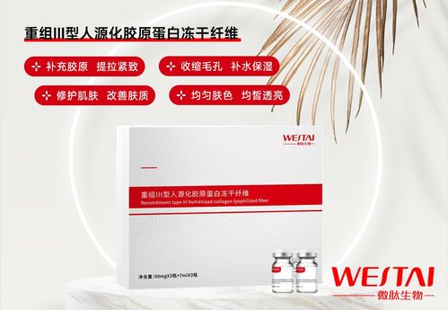 醫用重組iii型人源膠原蛋白凍干纖維 高純度 低內毒 源頭工廠oem